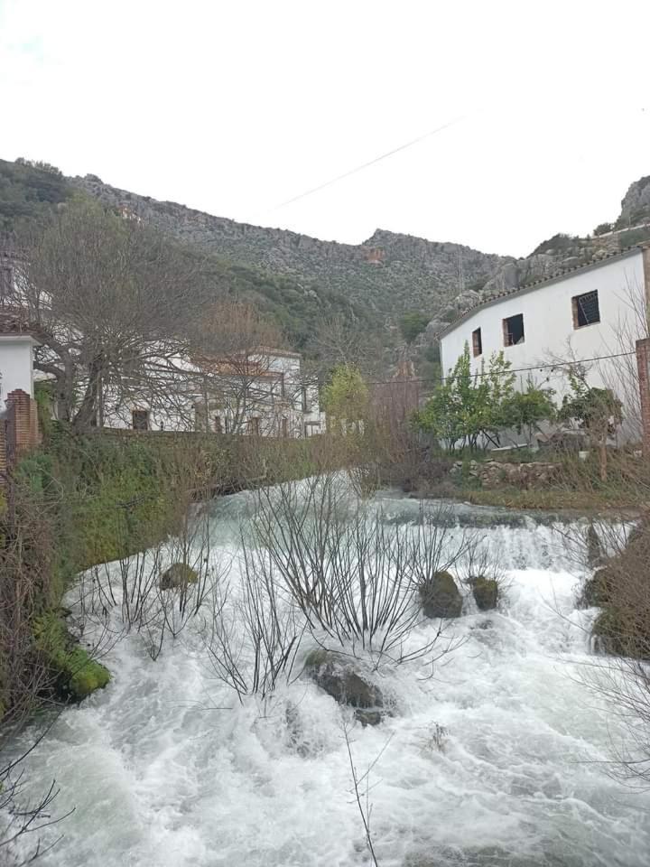 Вилла Casas De Benaojan 15 Экстерьер фото